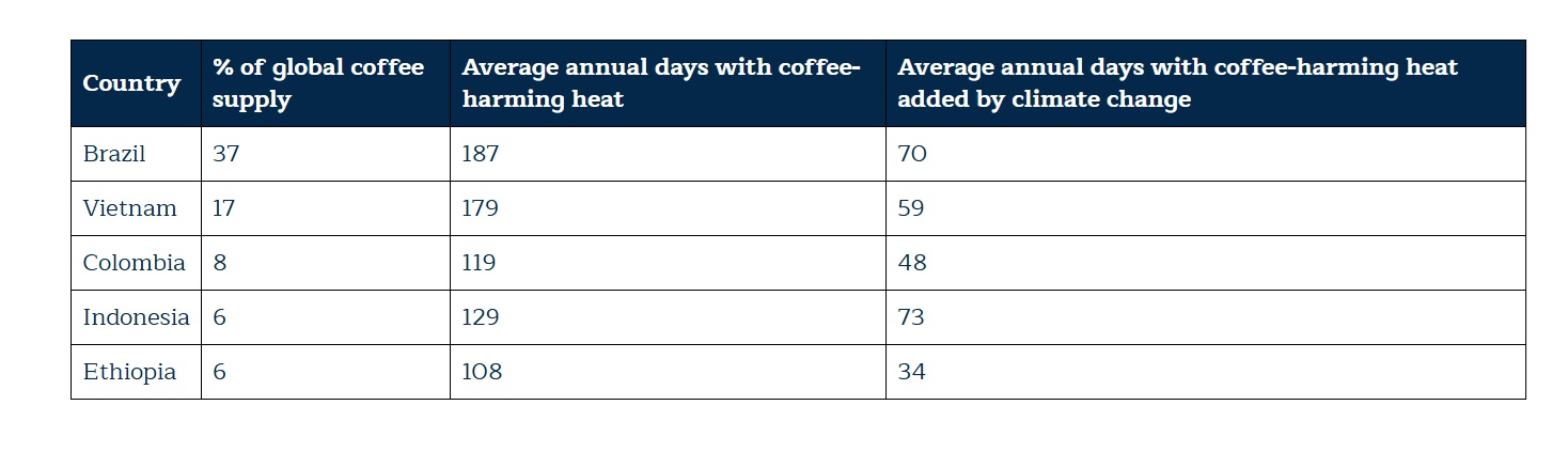 koffietafel klimaatverandering