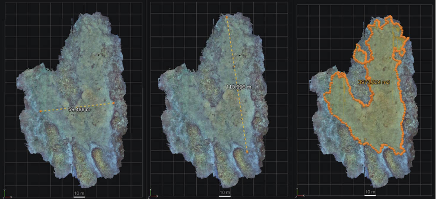 grootste koraalkolonie ter wereld