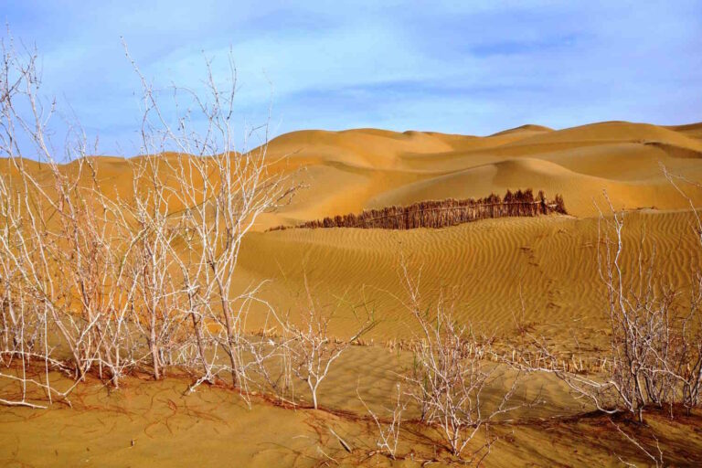 deserto scienziati cinesi