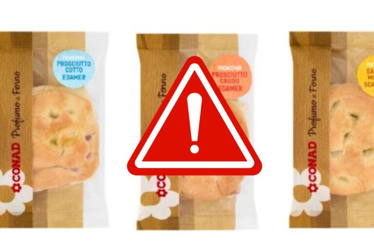 focaccine conad