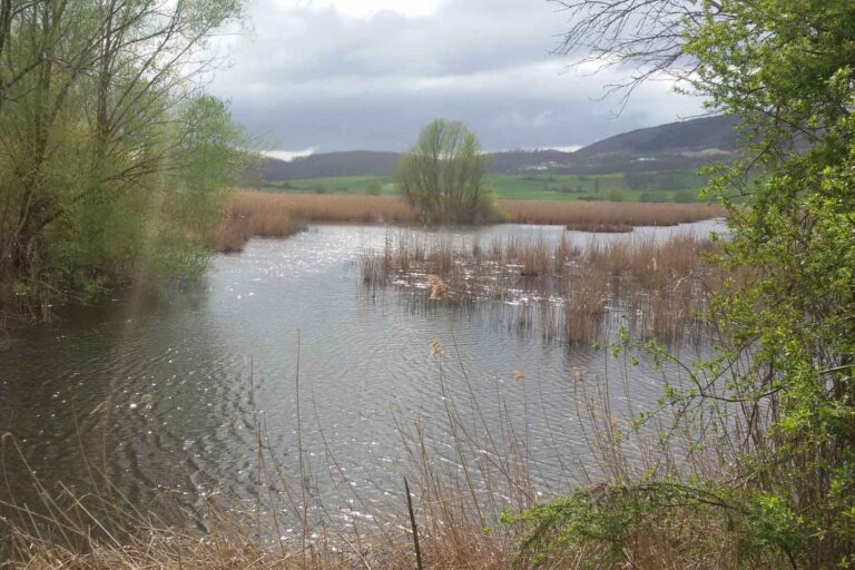 Omdat ons voortbestaan ​​afhankelijk is van wetlands (maar bijna de helft van de Italiaanse loopt gevaar)
