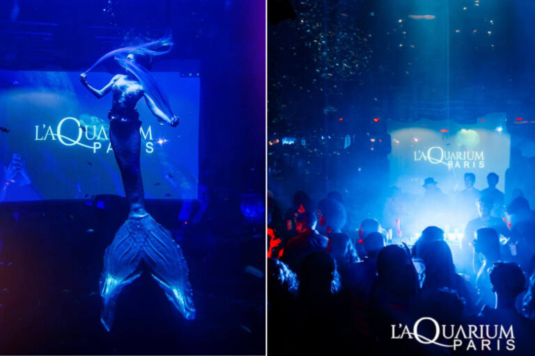 Serate danzanti aquarium