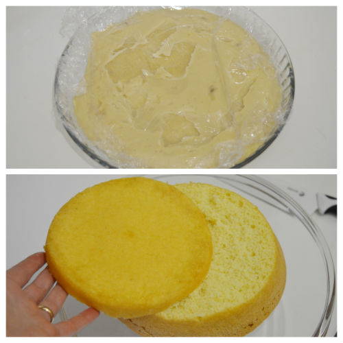 mimosacake 2