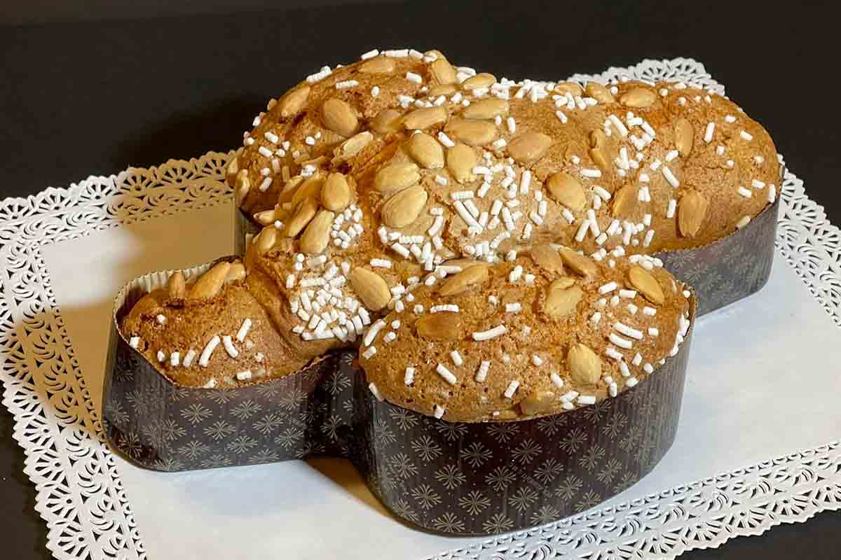 koninginneduif competitie