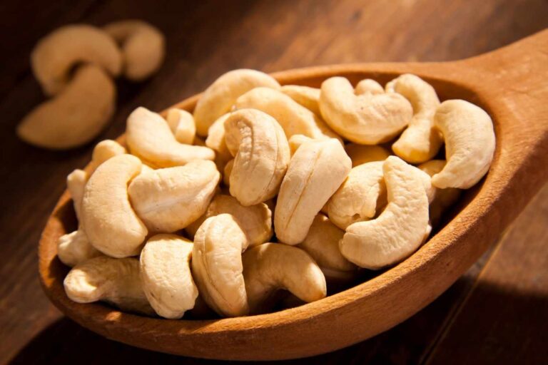 anacardi