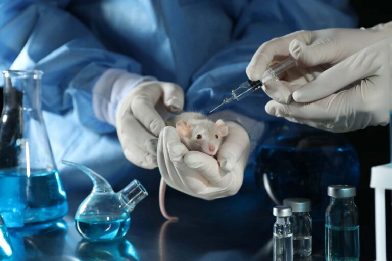 Detergenti sperimentazione animale