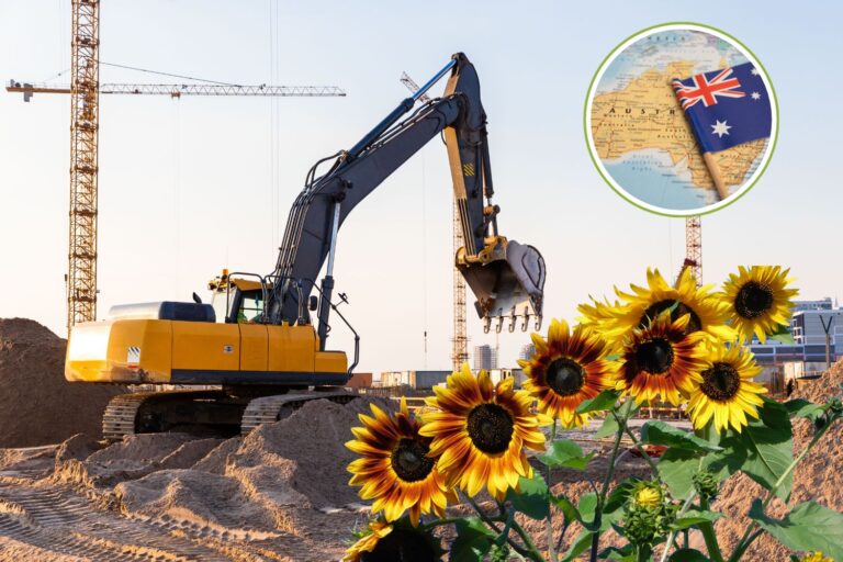 australia girasoli