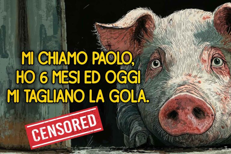 pubblicità lav censurata