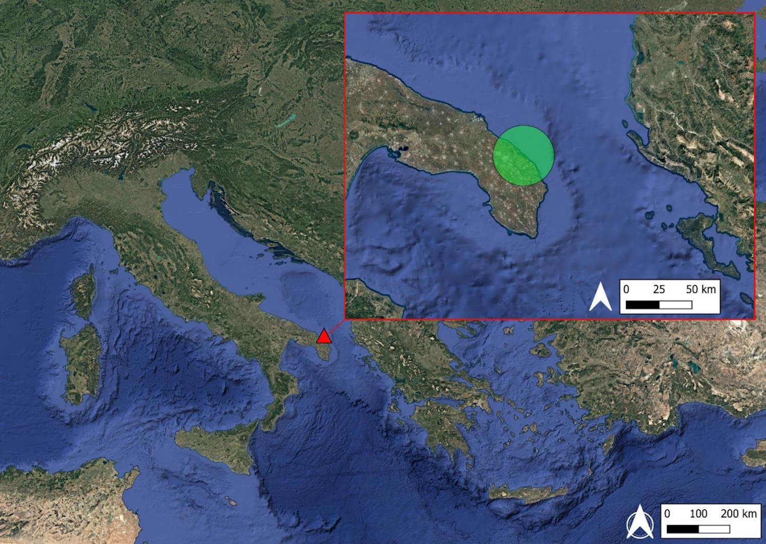 Salento albino-vleermuis