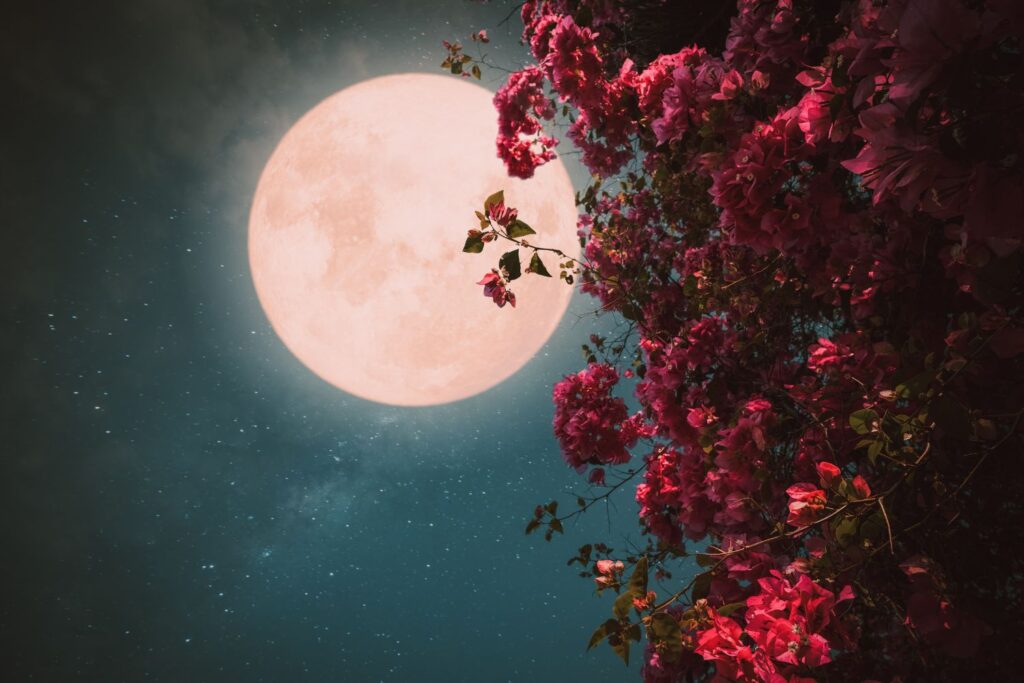 luna dei fiori primo maggio 2026