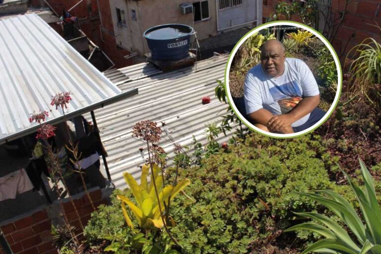 Groene daken in de favela’s van Rio de Janeiro! Deze man leert zijn gemeenschap om ze te maken (om extreme hitte tegen te gaan)
