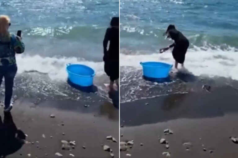 Toeristen kopen alle kreeften in een restaurant in Pompeii en laten ze los in zee: maar was dat echt een goed idee?
