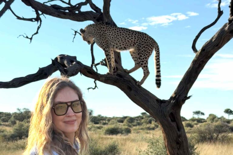 ferragni safari