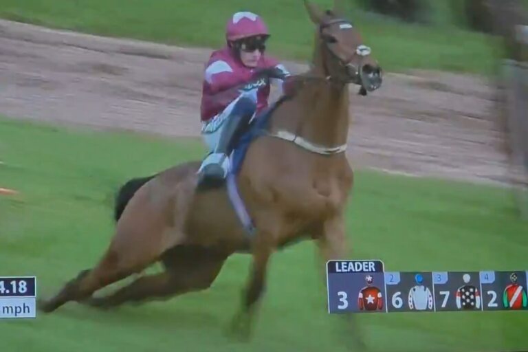 Het paard Gold Dancer wint de race, maar wordt op de baan geëuthanaseerd (vanwege een breuk), shock in Groot-Brittannië: dit is geen sport!

