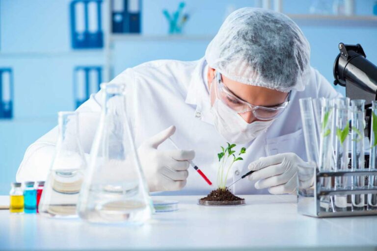 laboratori ogm