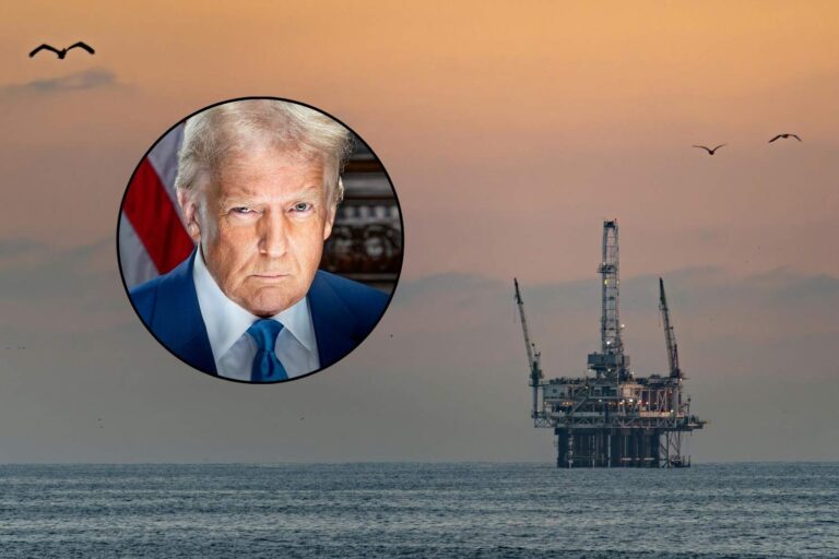trump trivelle