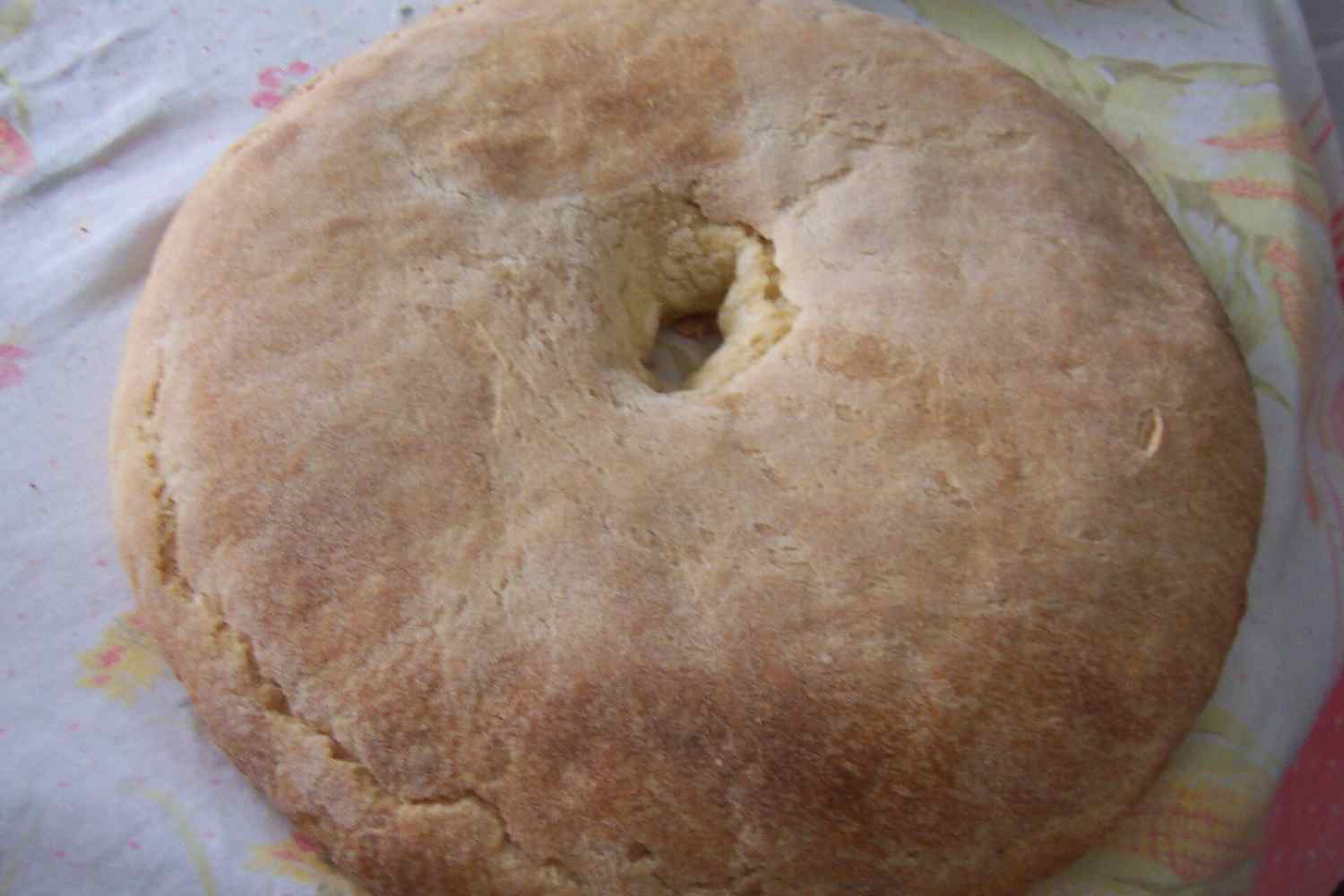 Pitta 