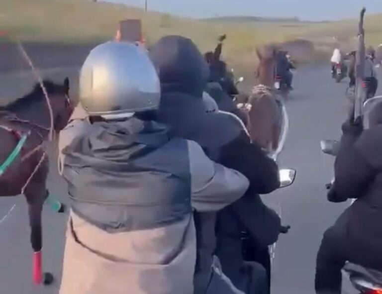 Huiveringwekkende taferelen uit de guerrillaoorlog in de regio Catania, clandestiene race met geweren en kalasjnikovs: twee paarden in beslag genomen
