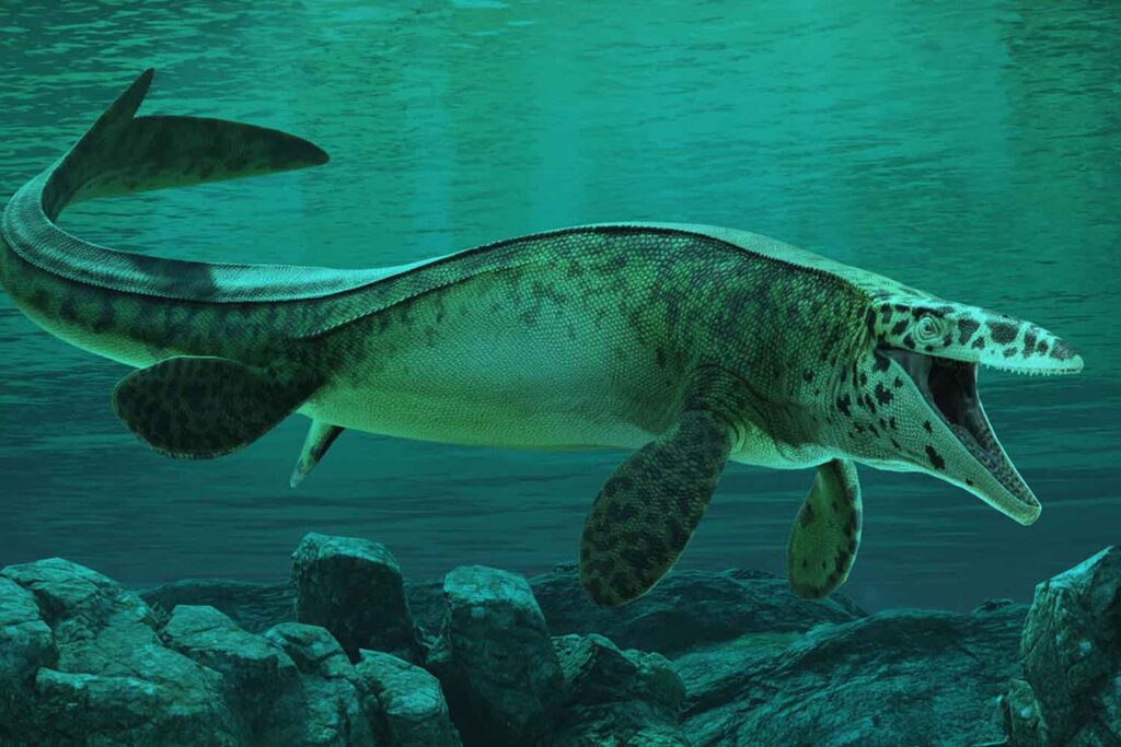 De "T. rex van de zeeën" ontdekt, met gekartelde tanden en roofzuchtige kaken, van 80 miljoen jaar geleden