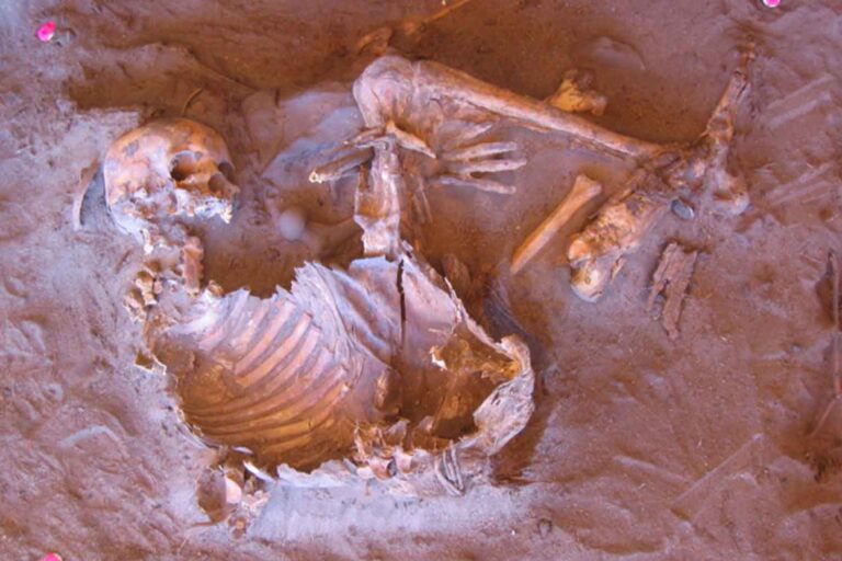 mummie di 7000 anni