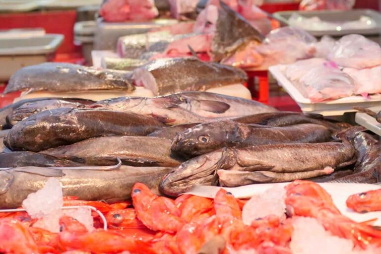 banco del pesce