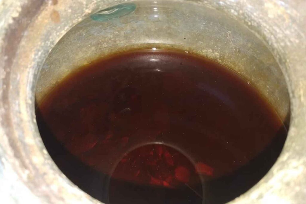 vino piu antico al mondo