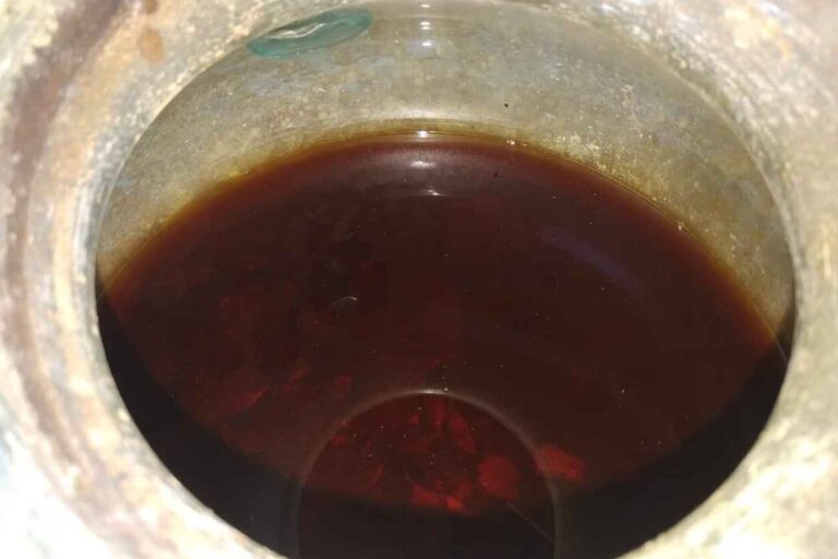 vino piu antico al mondo