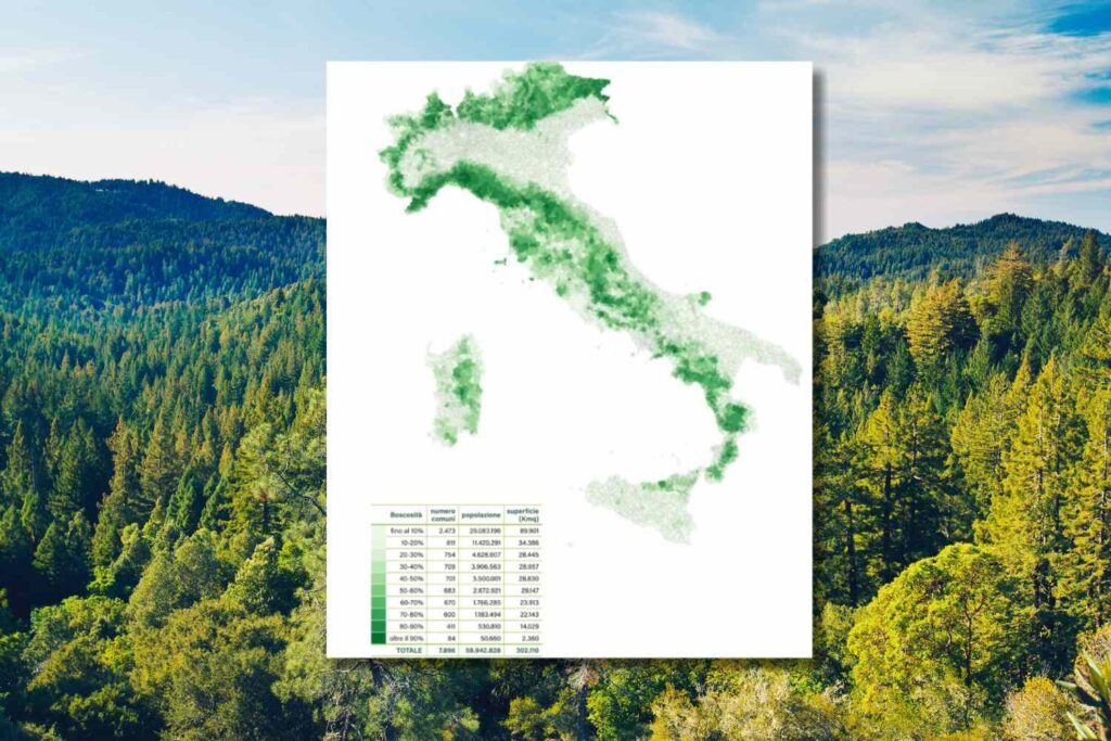 foreste italia