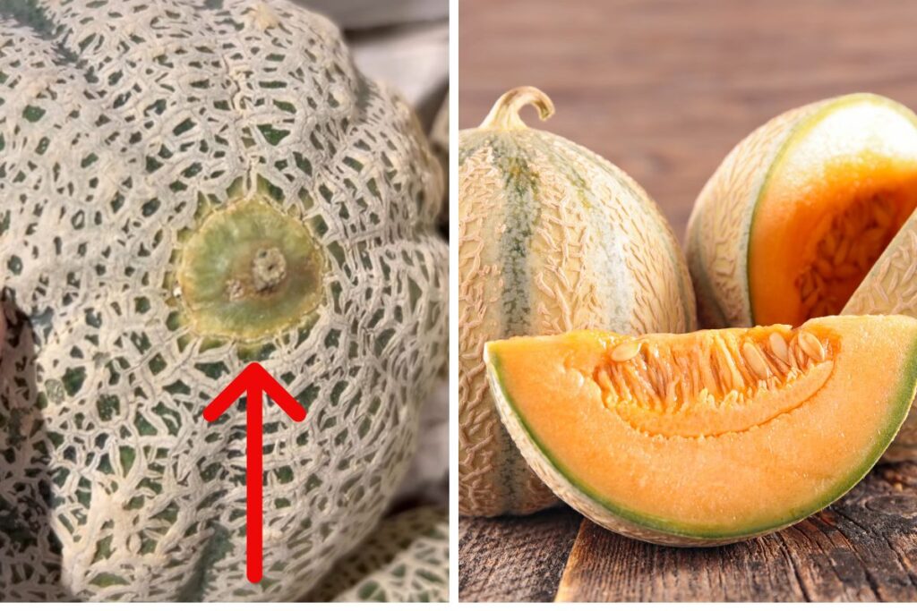 melone maturo trucco