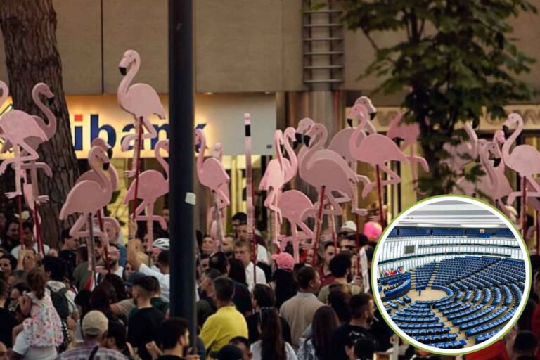 De flamingo-opstand werkte! De EU komt tussenbeide om de beschermde gebieden van Albanië te redden
