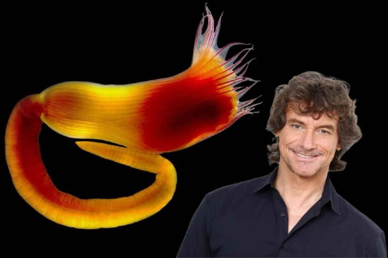 Specie Alberto Angela