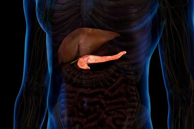 cancro pancreas terapia proteina ras
