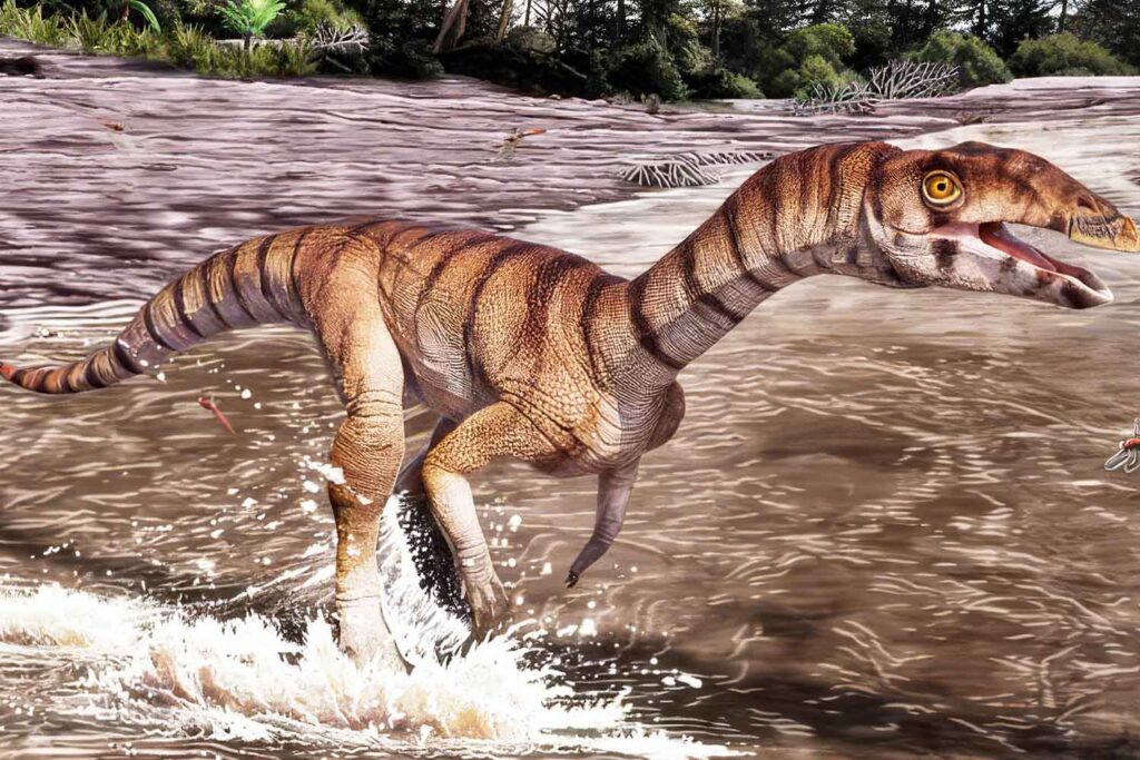 Labrujasuchus expectatus