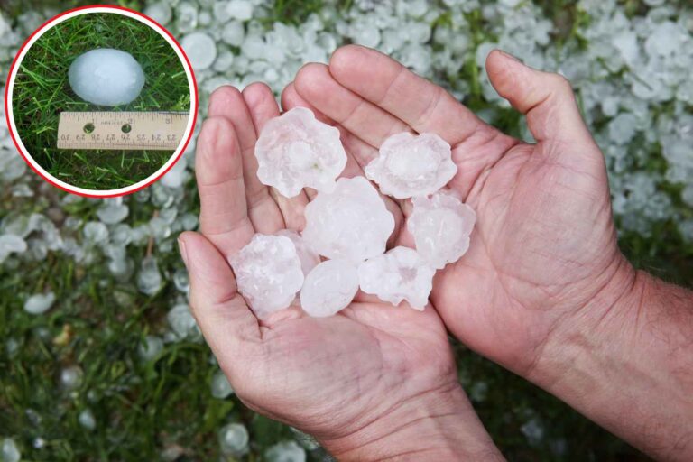 Minder stormen, maar destructiever: de metamorfose van hagel (ruim 3 cm) in het tijdperk van de opwarming van de aarde
