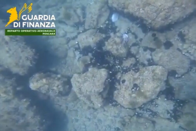 ricci di mare sequestro