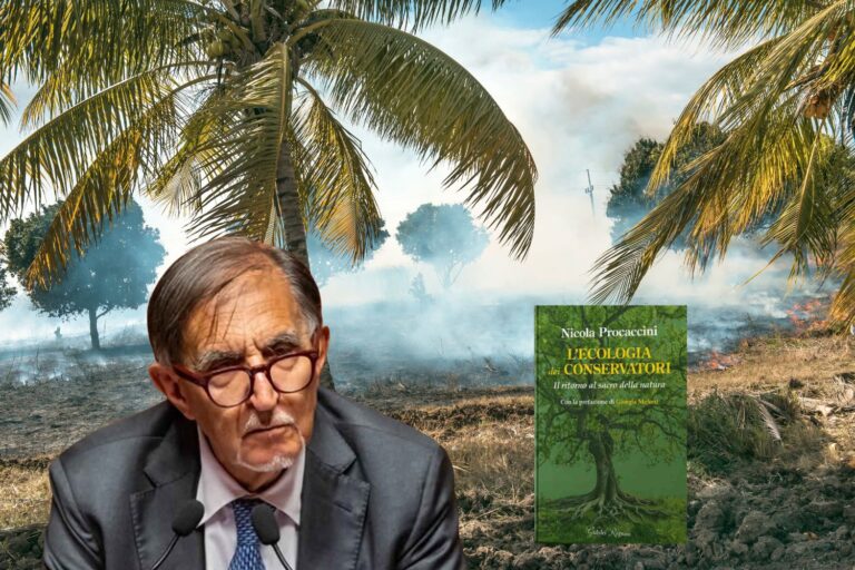 libro clima procaccini la russa