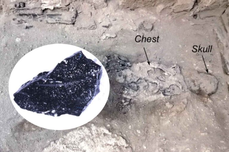cervello di vetro a Pompei