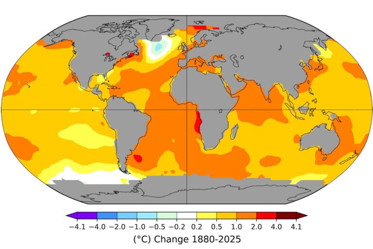macchia fredda indebolimento correnti oceaniche