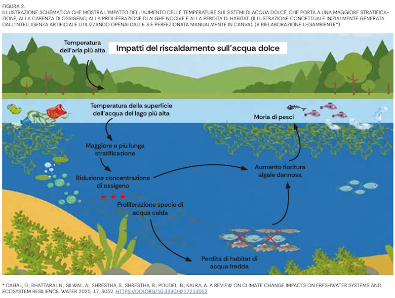 meren infographic