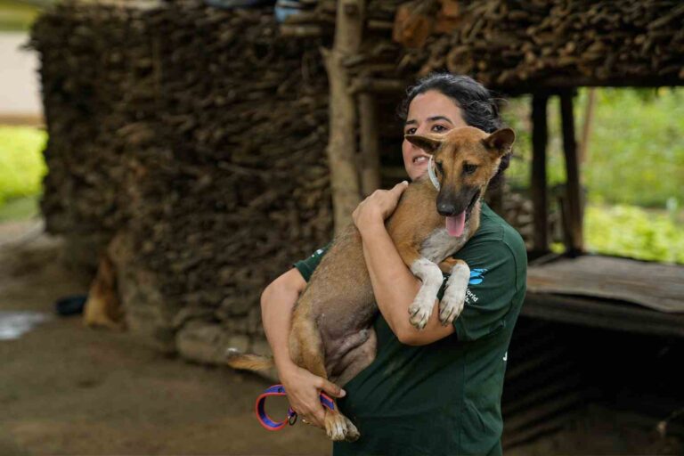 cani india