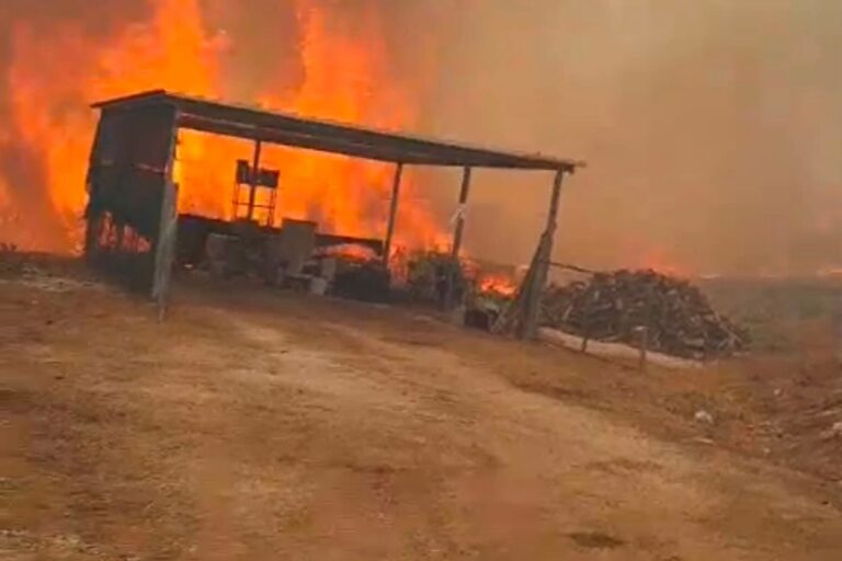incendio vieste peschici
