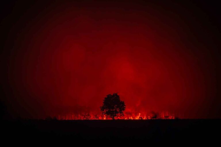 Incendio Gironda Francia
