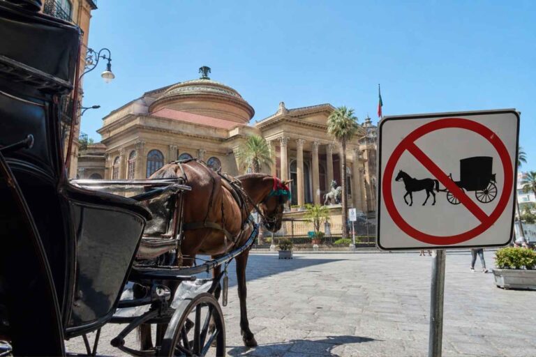carrozze cavalli palermo