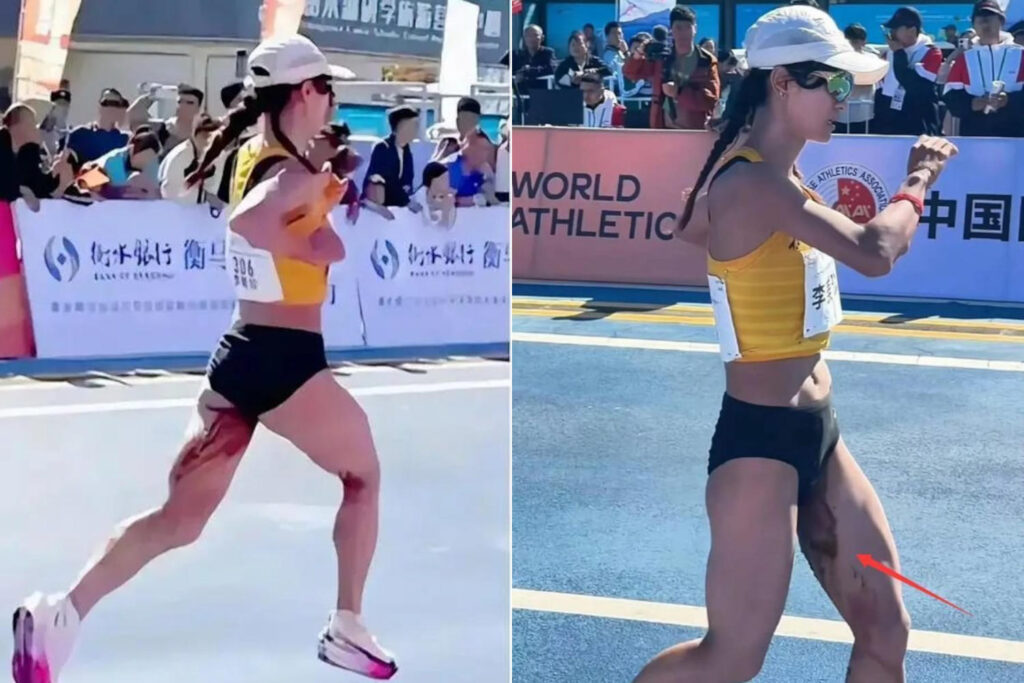Li Meizhen ciclo
