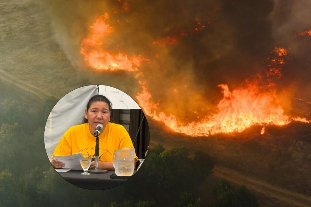incendi indigeni