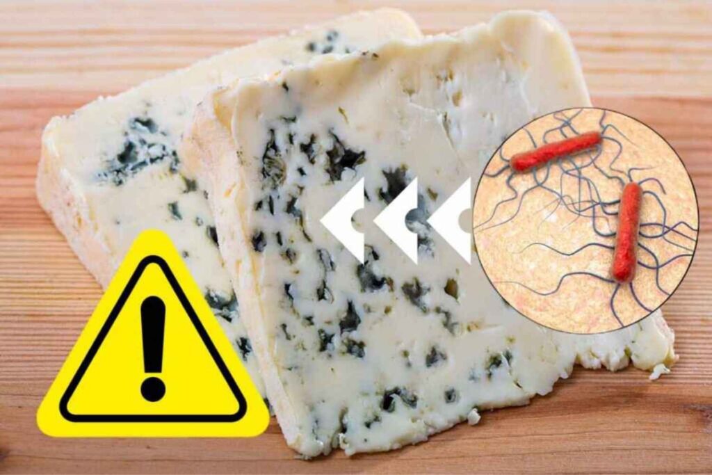 allerta gorgonzola listeria