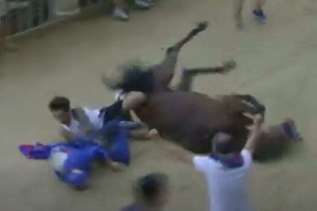 Palio di Siena