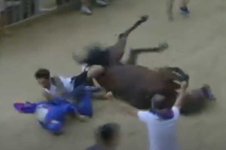 Palio di Siena