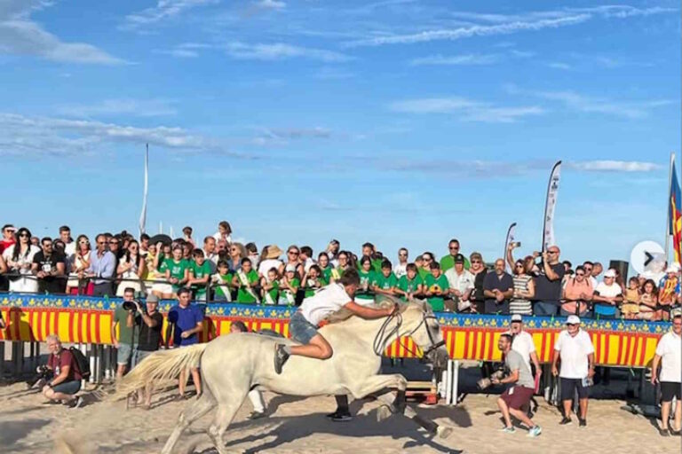 corsa cavalli valencia