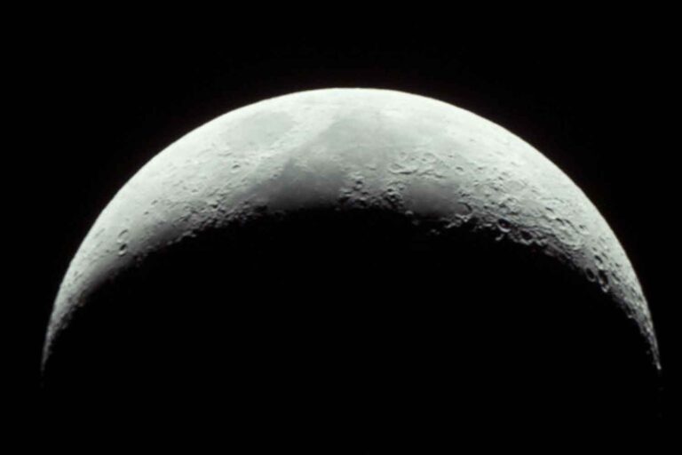 Luna cinerea